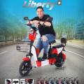 Review Lengkap Sepeda Listrik VOXA